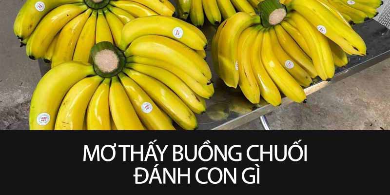 Mơ thấy Buồng chuối đánh con gì