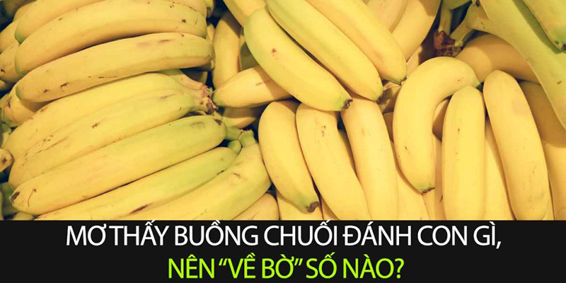 Giải mã mơ thấy Buồng chuối đánh con gì