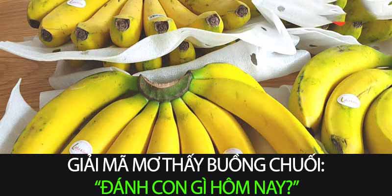 Mơ thấy Buồng chuối đánh con gì, nên “về bờ” số nào?