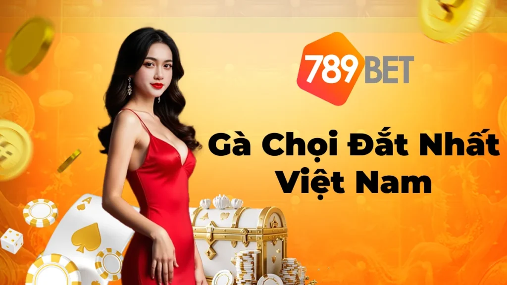 Top 3 Giống Gà Chọi Đắt Nhất Việt Nam Mà Bạn Nên Biết