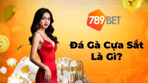 Đá Gà Cựa Sắt Là Gì? Tổng Hợp Các Giống Gà Cựa Sắt Nổi Tiếng