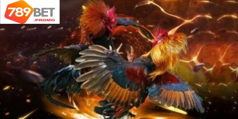 Chia sẻ bí quyết nâng cao cơ hội thắng lớn