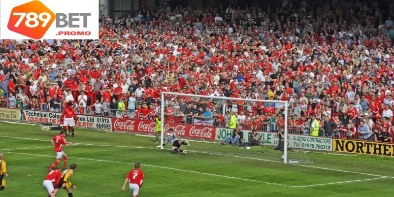 Tạo nên nhiều cơ hội hấp dẫn