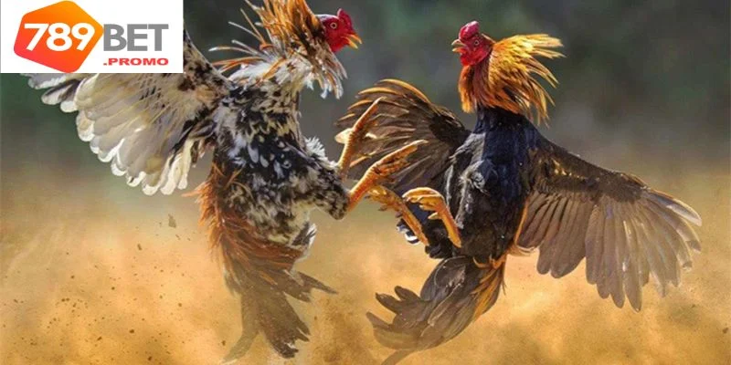 Tips nâng cao kinh nghiệm chơi